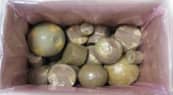 Hazardous Material Packaging - Fireworks Packaging Carton Top View