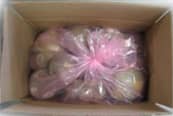 Hazardous Material Packaging - Fireworks Packaging Carton Top View Closed