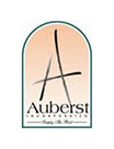 Auburst Inc.