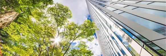 Looking up at a modern skyscraper with reflective glass windows on a sunny day. Green trees with bright foliage are on the left, and the sun peeks through the leaves, creating a lens flare effect. The sky is partly cloudy.