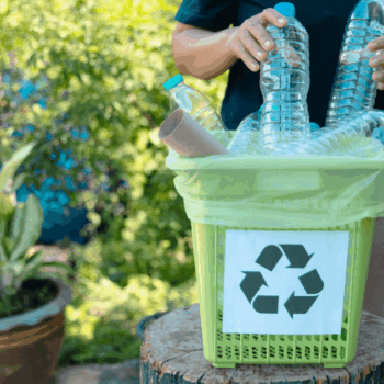 A person placing plastic bottles into a green recycling bin with a recycle symbol. The bin is on a tree stump, surrounded by plants and trees, indicating an outdoor setting focused on environmental care.